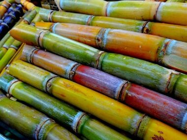 30 Health Benefits of Sugarcane